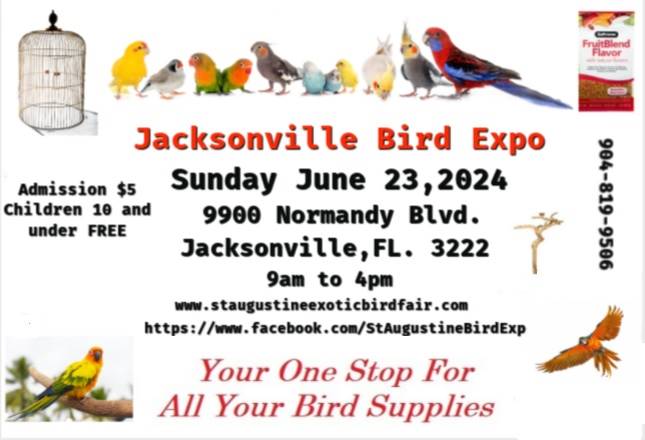 Jacksonville Bird Expo