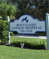 https://www.boulevardanimalhospitalfl.com Wayne Diamond